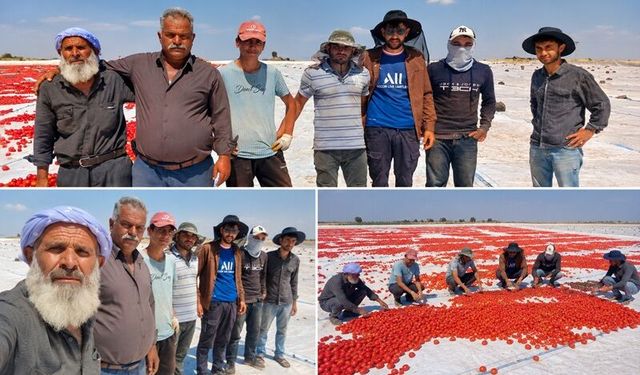 Diyarbakır’da Tarım İşçilerinin Güneşle İmtihanı