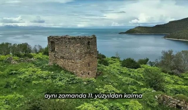 Van Gölü kıyısındaki Deveboynu Yarımadası milli park ilan edildi