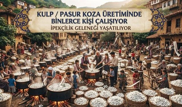 Türkiye toplam yaş koza üretiminin yaklaşık yüzde 72’si Kulp’tan