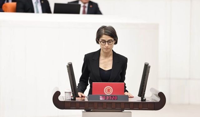 Diyarbakır’da kadın şiddeti ve şüpheli ölümler Meclis gündeminde