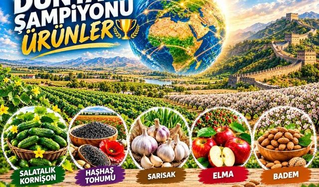 Dünyanın Üretim Haritasında Şaşırtan Tablo