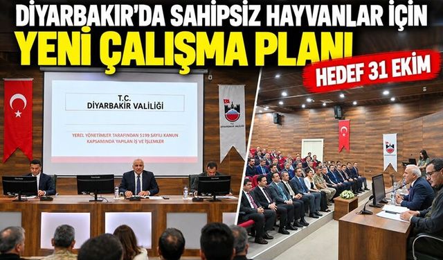 Diyarbakır’da sahipsiz hayvanlar için yeni çalışma planı: Hedef 31 Ekim