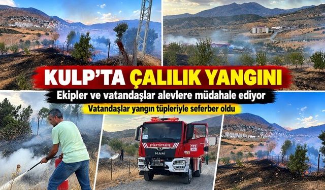 Kulp’ta Çalılık Yangını: Vatandaşlar Yangın Tüpleriyle Seferber Oldu