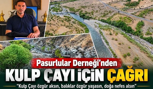 Kulp Pasurlular Derneği’nden Kulp Çayı için çağrı: “Doğa nefes alsın”