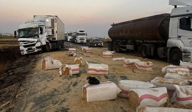 Tırla çarpışarak devrilen saman yüklü kamyonetin sürücüsü yaralandı
