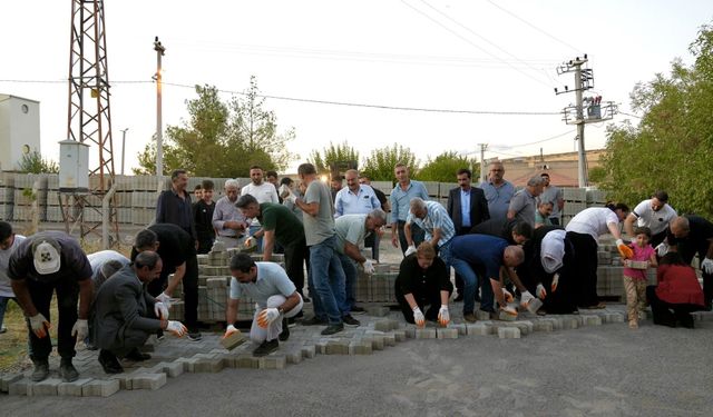 Bağlar'da komünal çalışma köy köy büyüyor