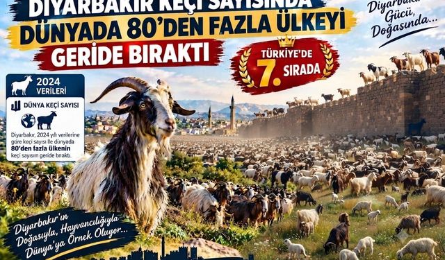 Diyarbakır keçi varlığında 80’den fazla ülkeyi geride bıraktı!
