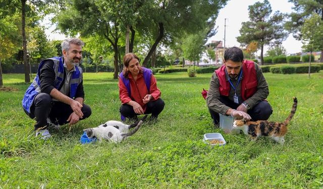 Diyarbakır’da sokak hayvanları için yaşam hakkı çağrısı