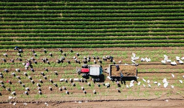 2027 Tarım Bütçesi Açıklandı: Destekler 235 Milyar Liraya Çıkıyor