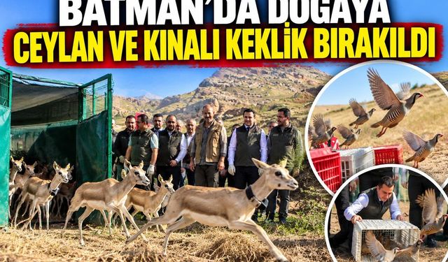 Batman’da Yaban Hayatı İçin Önemli Adım