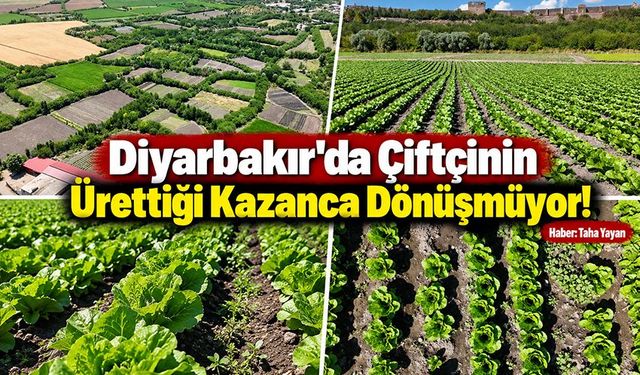 Diyarbakır'da Çiftçinin Ürettiği Kazanca Dönüşmüyor!