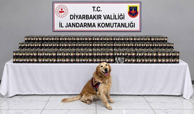 Diyarbakır’da kaçakçılık operasyonu: 29 kişi hakkında işlem