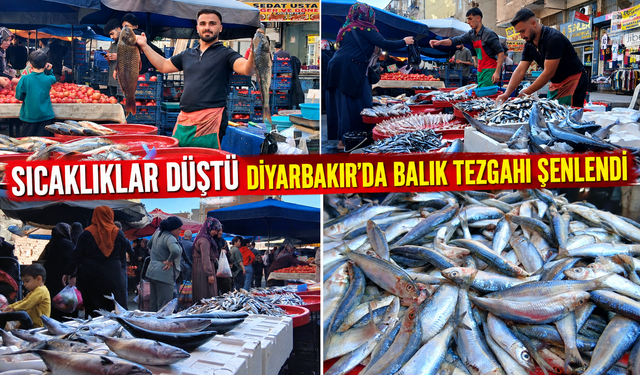 Sıcaklıklar Düştü Diyarbakır'da Balık Tezgahı Şenlendi