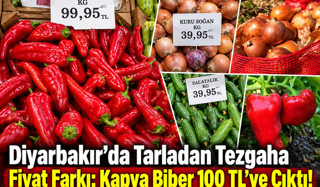 Diyarbakır’da Tarladan Tezgaha Fiyat Farkı