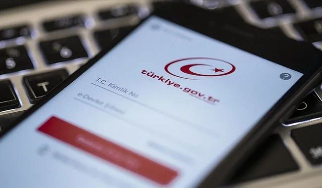 e-Devlet’te PHP2Shell Alarmı: Güvenlik Kontrollerinde Sorun Çıkmadı