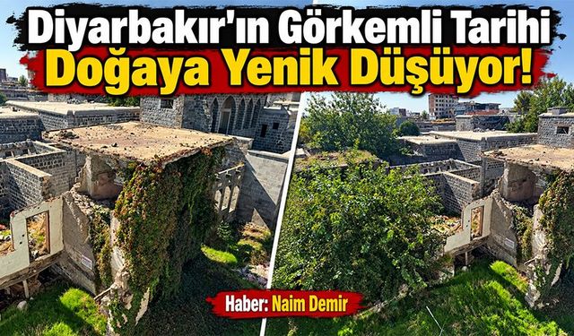 Diyarbakır'ın Görkemli Tarihi Doğaya Yenik Düşüyor!