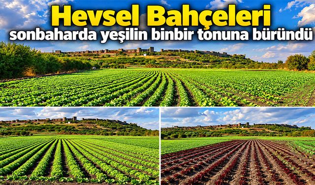 Hevsel Bahçeleri sonbaharda yeşilin binbir tonuna büründü