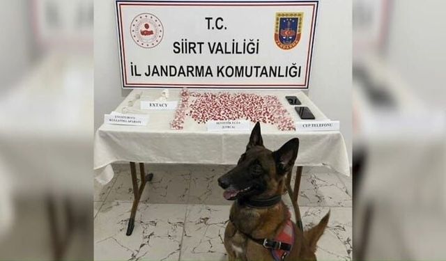Siirt’te Otobüs Durduruldu: Çantadan Binlerce Uyuşturucu Hap Çıktı