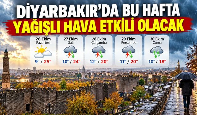 Diyarbakır’da Bu Hafta Yağışlı Hava Etkili Olmadı Bekleniyor