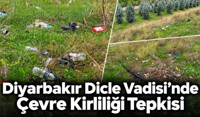 Diyarbakır Dicle Vadisi’nde Çevre Kirliliği Tepkisi