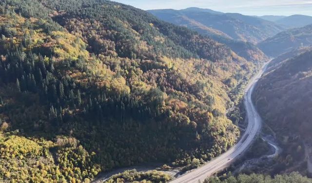 Ilgaz Dağı Sonbaharda Büyülüyor! Fotoğrafçıların Akınına Uğradı