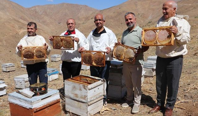 Siirt’in Yüksek Yaylalarında Bal Mesaisi: Hedef Kaliteyi Artırmak