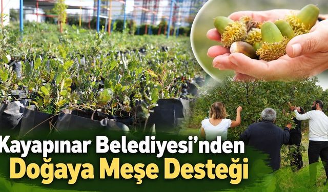 Kayapınar Belediyesi’nden Doğaya Meşe Desteği