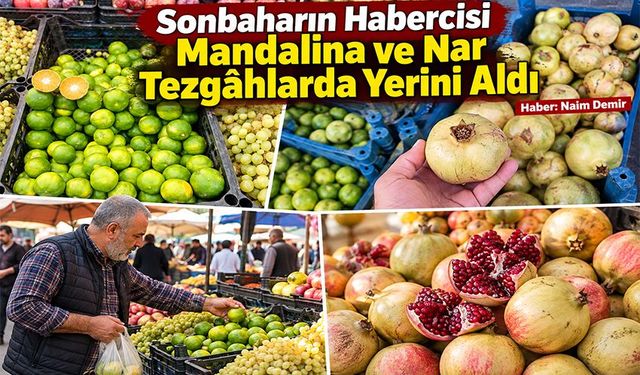 Sonbaharın Habercisi Mandalina ve Nar Tezgâhlarda Yerini Aldı