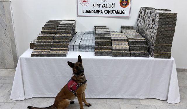 Siirt’te Kaçakçılık Operasyonu: 10 Bin 250 Paket Sigara Ele Geçirildi