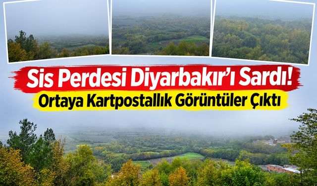 Sis Perdesi Diyarbakır’ı Sardı! Ortaya Kartpostallık Görüntüler Çıktı