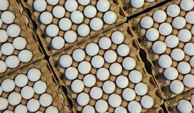 Türkiye'nin Yumurta İhracatında Yüzde 54’lük Artış