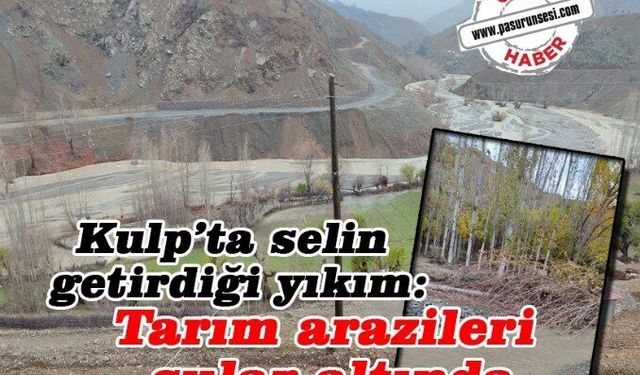 Kulp’ta selin getirdiği yıkım: Tarım arazileri sular altında