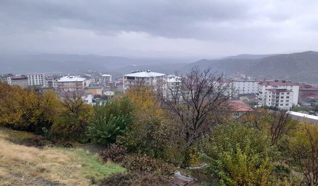 Kulp'ta beklenen yağış başladı