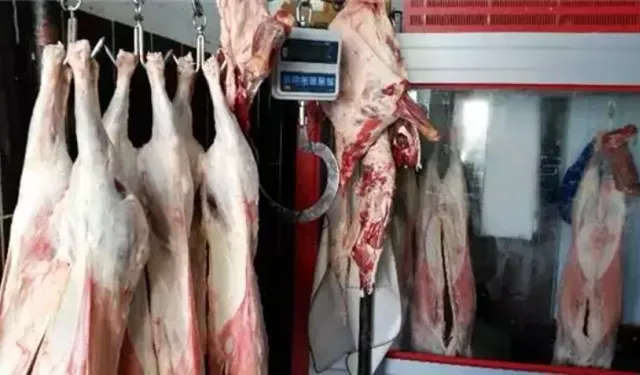 Kulp'ta kasaplar hayvan sıkıntısı çekiyor