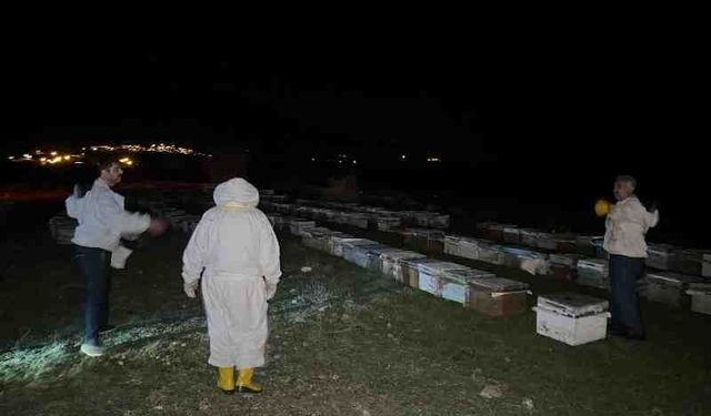 Kulp'ta arıcılara 1540 kovan hibe edildi