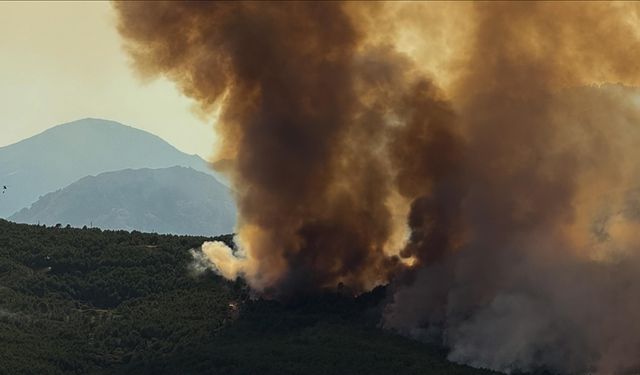 İspanya’da yangınlar yayılıyor: Binlerce kişi tahliye