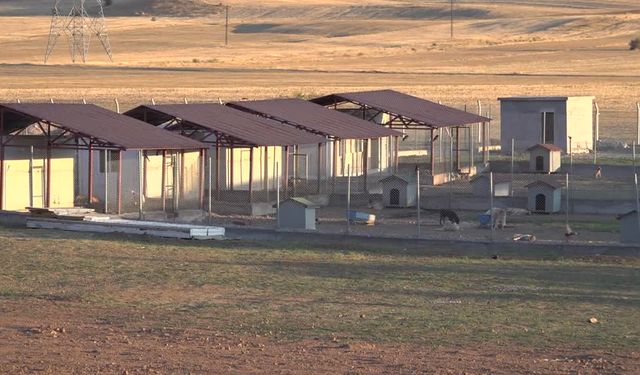 Bitlis'te can dostlar için doğal yaşam alanı oluşturuldu