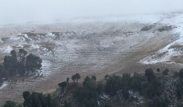 Ardahan ile Kars'ın yüksek kesimlerine kar yağdı