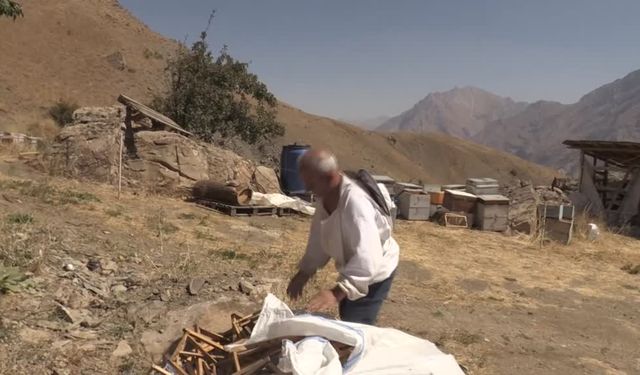 Arıcıların bal mesaisi sürüyor