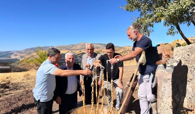 Çermik'te bağ bozumu etkinliği düzenlendi