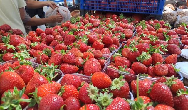 Çilek Festivali renkli görüntülere sahne oldu