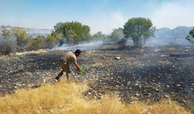 Diyarbakır’ın Dicle ilçesinde köy yangını: Alevler rüzgârla büyüyor