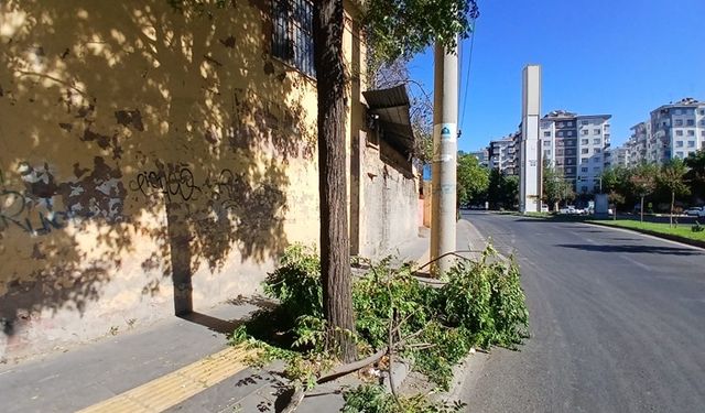 Şiddetli Fırtına Hasara Yol Açtı