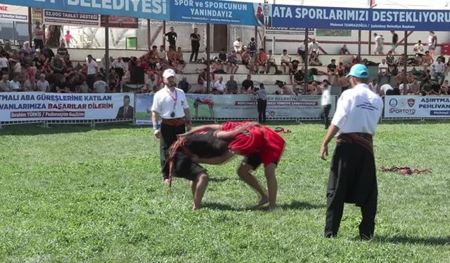 Aşırtmalı Aba Güreşi Türkiye Şampiyonası Gaziantep'te başladı