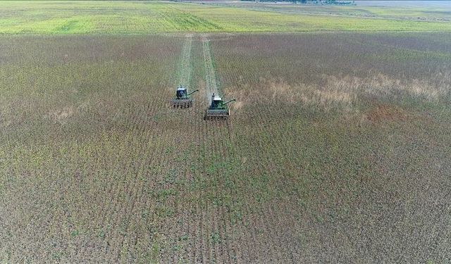 İşlenmeyen tarım arazileri kasımdan itibaren kiralanacak