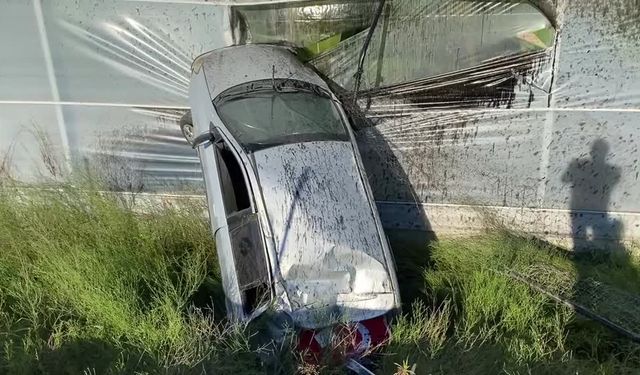 Muz serasına çarpan otomobil sürücüsü yaralandı