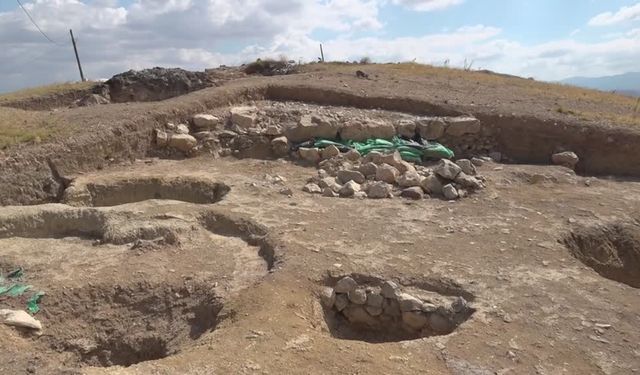 Nerik'te 3 bin 500 yıllık fındık fosili bulundu