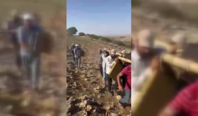 Dağlık arazide sakatlanan inek sedyeyle taşındı