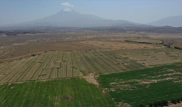 Taşlık araziden verimli tarlaya: 1000 dönümlük büyük dönüşüm