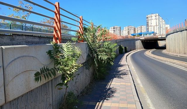 Diyarbakır’da Altgeçit Tehlike Saçıyor
